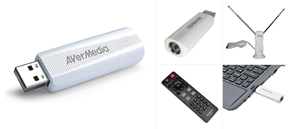 Aver Media AverTV TD310