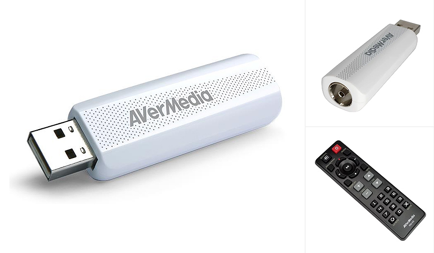 Aver Media AverTV TD310