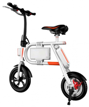 кактус CS-EBIKE-P1