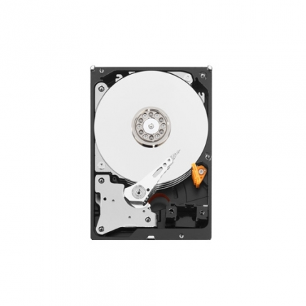 Western Digital WD Purple 3 TB (WD30PURZ)