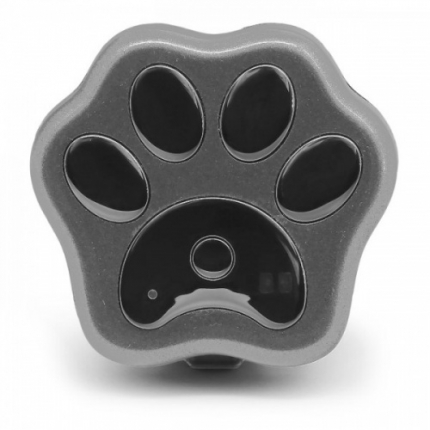 Real Find V-30 / V40