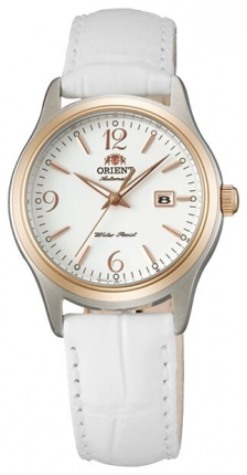 ОРИЕНТ NR1Q003W