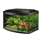 Рейтинг на най-добрите аквариуми