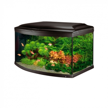 Ferplast Cayman Scenic 150 л