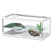 Рейтинг на най-добрите терариуми