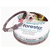 Рейтинг на най-добрите нашийници за бълхи