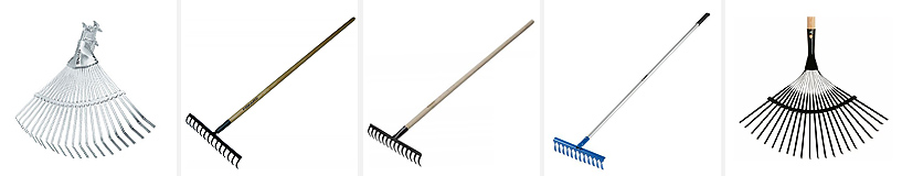 Топ рейк рейтинг