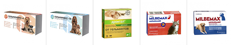 Рейтинг на най-добрите лекарства за глисти за животни