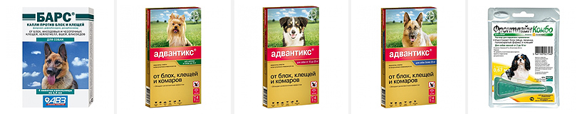 Рейтинг на най-добрите капки за бълхи за кучета