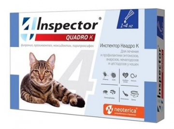 Neoterica Inspector пуска Quadro K