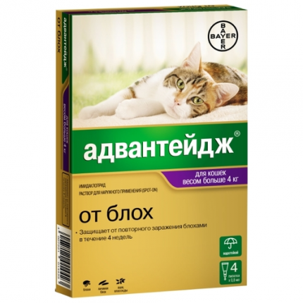 Bayer Advantage за големи котки