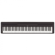 YAMAHA P-45
