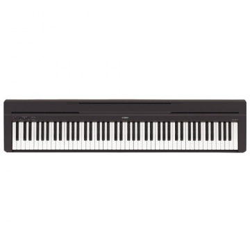 YAMAHA P-45