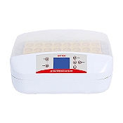 Класация на най-добрите инкубатори