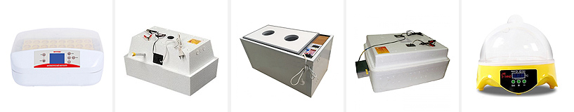 Класация на най-добрите инкубатори