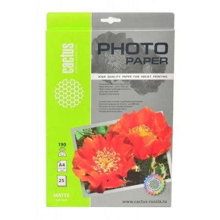 Кактус CS-MA419025 A4