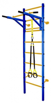 Midzumi katashi plus