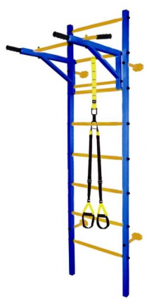 Midzumi katashi plus