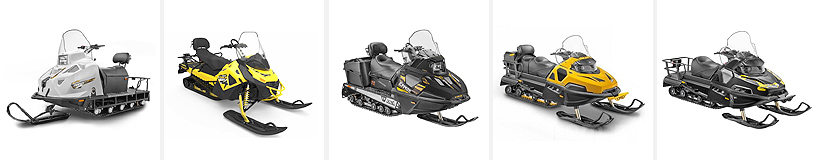 Класация на най-добрите моторни шейни