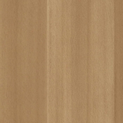 Kronostar Beech W 008